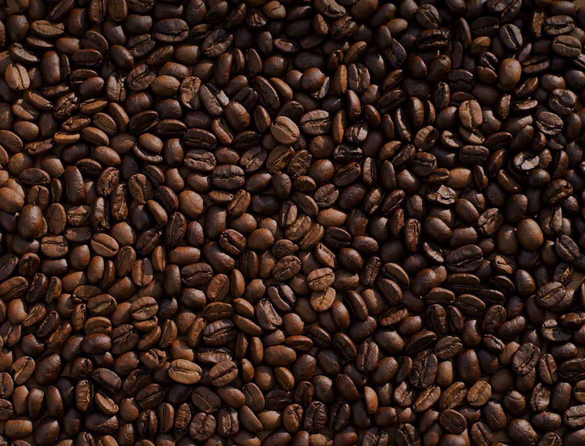 Grains de café en gros plan